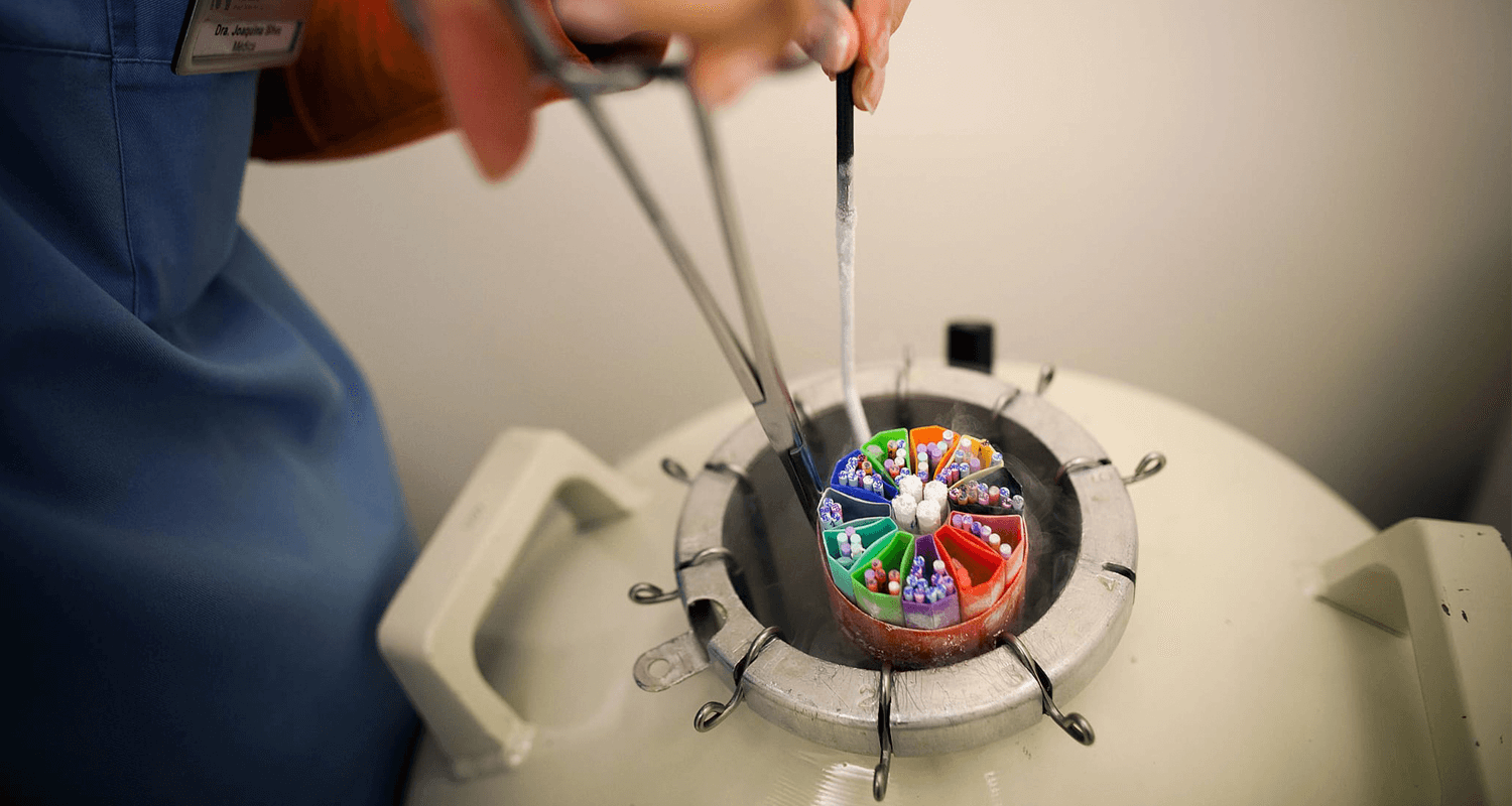 Equipa do CETI em destaque no Jornal Público